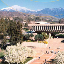 Crafton Hills College Foundation 2008 2009 Yearly Report thumb