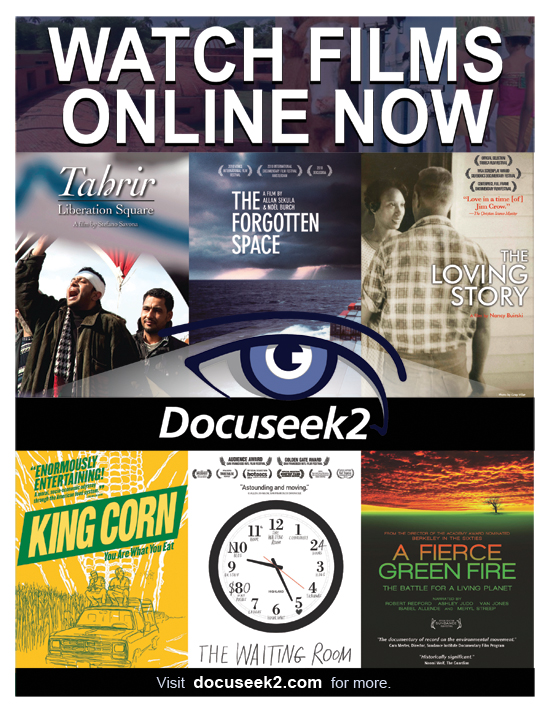 Docuseek2 Promotional Flier