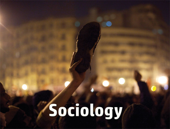 Docuseek 2 Postcard for Sociology