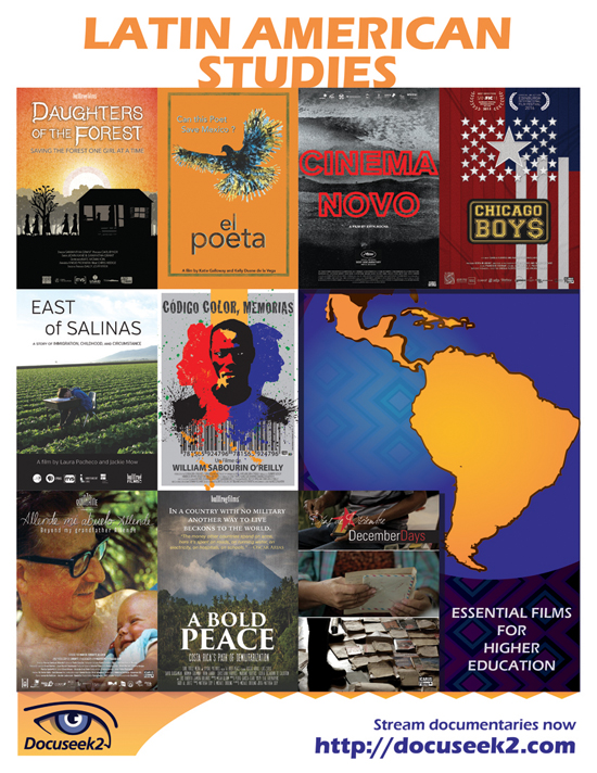 Docuseek2 Latin American Studies Flyer