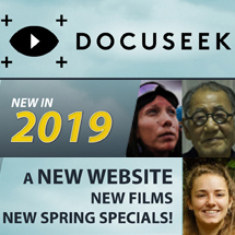 Docuseek American Library Association Digital Ad thumb